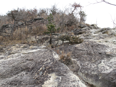 20140125hike (155)